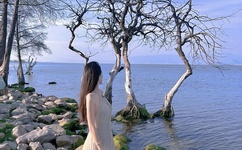 性瘾日记高清完整版百度影音